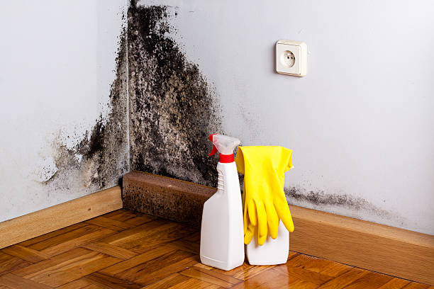 Water damage restoration experts in North Canton, OH